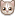 image: cat